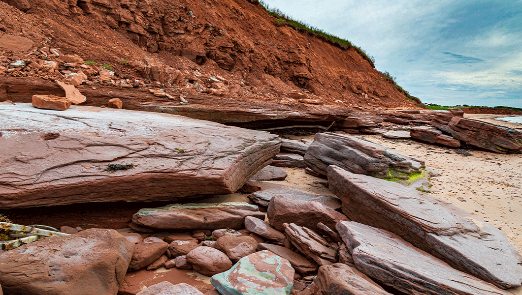 https://res.cloudinary.com/see-sight-tours/image/upload/v1745844335/strapi/Cavendish_Cliffs1_1055bbe130.png