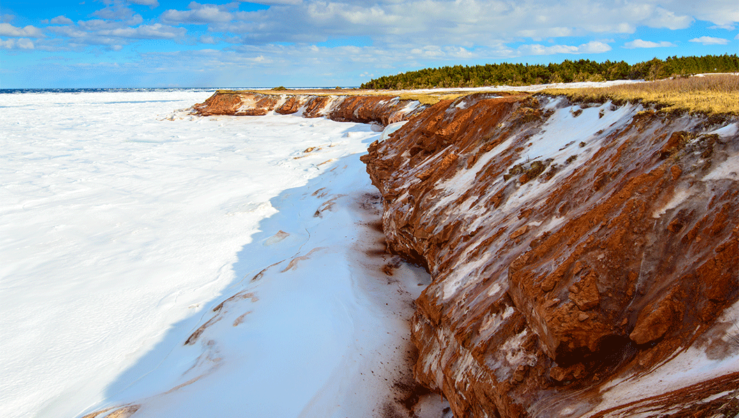 https://res.cloudinary.com/see-sight-tours/image/upload/v1745844336/strapi/Cavendish_Cliffs_f7e80dc82a.png