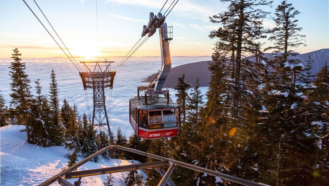 https://res.cloudinary.com/see-sight-tours/image/upload/v1745909786/strapi/Grouse_Mountain_Vancouver_Canada_b853301d6d.jpg