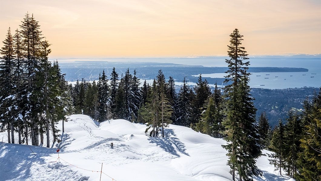 https://res.cloudinary.com/see-sight-tours/image/upload/v1745909786/strapi/Vancouver_Grouse_Mountain_Canada_dd033dcd81.jpg