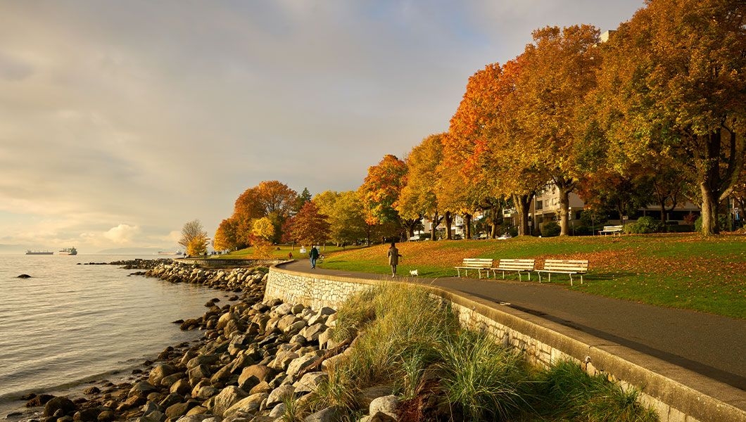 https://res.cloudinary.com/see-sight-tours/image/upload/v1745910200/strapi/Vancouver_Stanley_Park_866cce3663.jpg