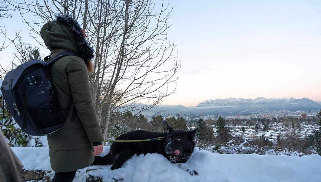 https://res.cloudinary.com/see-sight-tours/image/upload/v1745912665/strapi/Lookout_Vancouver_df9270f333.jpg