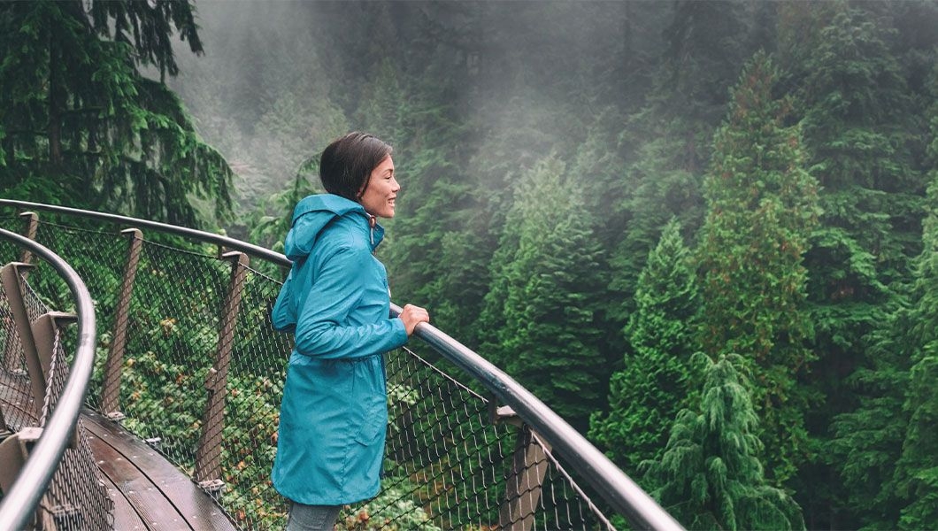 https://res.cloudinary.com/see-sight-tours/image/upload/v1745914441/strapi/Capilano_Suspension_Bridge_Vancouver_Canada_548ccdc3e1.jpg