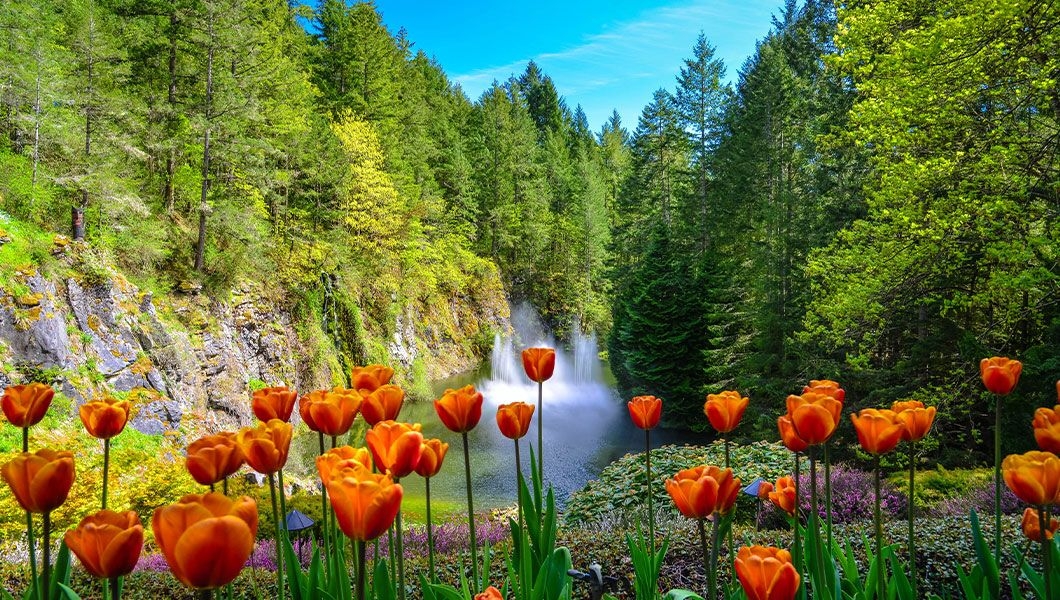 https://res.cloudinary.com/see-sight-tours/image/upload/v1745915480/strapi/Butchart_Gardens_Victoria_Canada_d50a4f174d.jpg