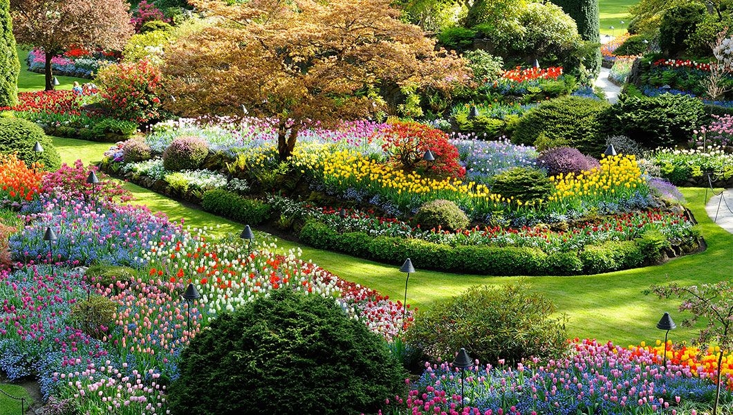 https://res.cloudinary.com/see-sight-tours/image/upload/v1745915480/strapi/Butchart_Gardens_Victoria_c7ce3fbf1f.jpg