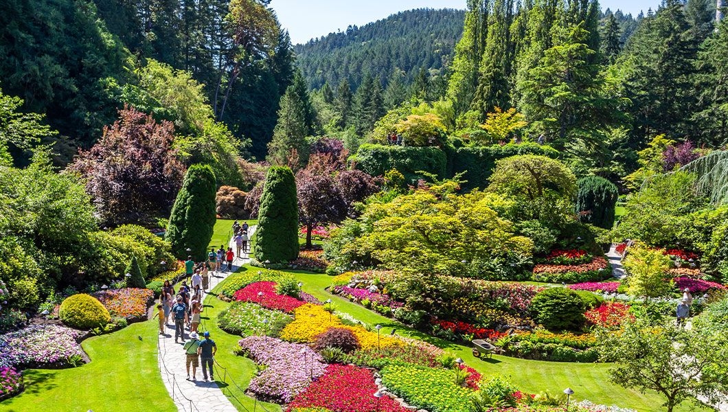 https://res.cloudinary.com/see-sight-tours/image/upload/v1745915480/strapi/Victoria_Butchart_Gardens_Canada_d2a22e0d18.jpg