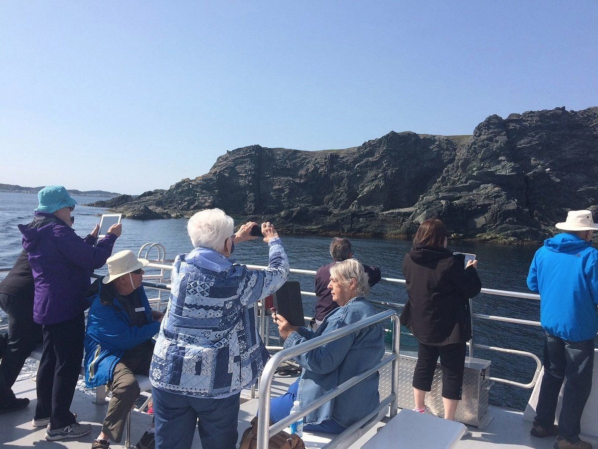 https://res.cloudinary.com/see-sight-tours/image/upload/v1745925744/strapi/guests_on_a_recent_boat_42ae44be32.jpg