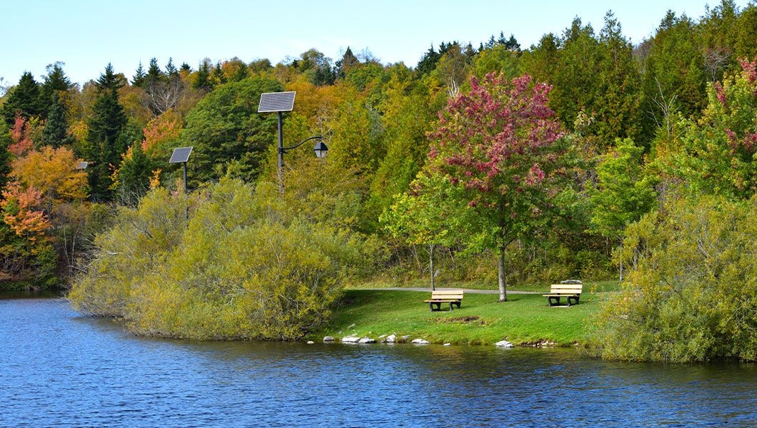 https://res.cloudinary.com/see-sight-tours/image/upload/v1745926886/strapi/St_John_City_Market_Rockwood_Park_2a2ceac009.jpg