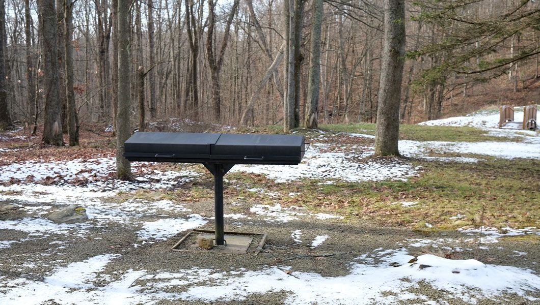 https://res.cloudinary.com/see-sight-tours/image/upload/v1745926886/strapi/St_John_Rockwood_Park_506a810337.jpg