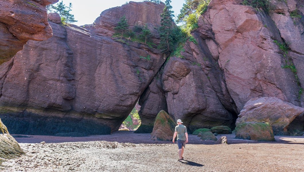 https://res.cloudinary.com/see-sight-tours/image/upload/v1745927204/strapi/Hopewell_Rocks_St_John_Market_da1a3920f5.jpg