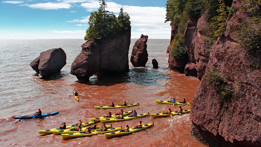 https://res.cloudinary.com/see-sight-tours/image/upload/v1745927204/strapi/St_John_City_Market_Hopewell_Rocks_8d579d7df7.jpg