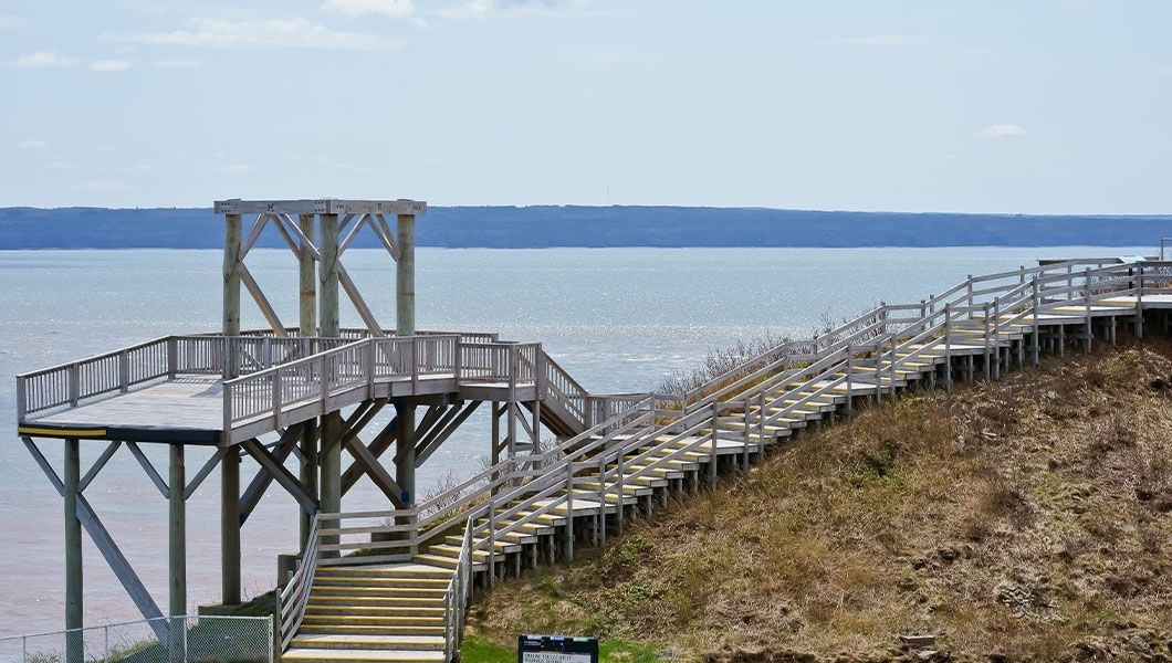 https://res.cloudinary.com/see-sight-tours/image/upload/v1745927567/strapi/Cape_Enrage_Nature_Preserve_3_2690036bad.jpg
