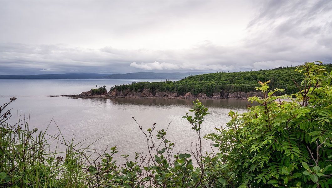 https://res.cloudinary.com/see-sight-tours/image/upload/v1745927567/strapi/Cape_Enrage_Nature_Preserve_b332a4c858.jpg