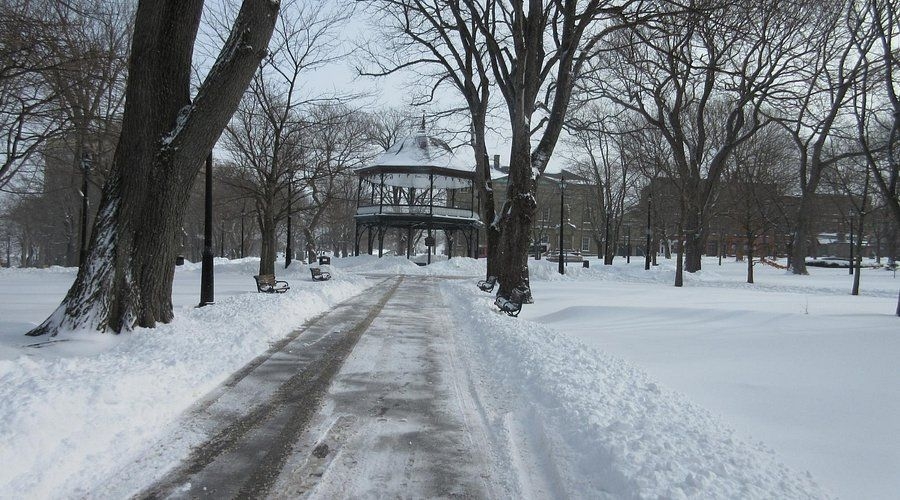 https://res.cloudinary.com/see-sight-tours/image/upload/v1746000003/strapi/winter_wonderland_in_7820b1bbd4.jpg