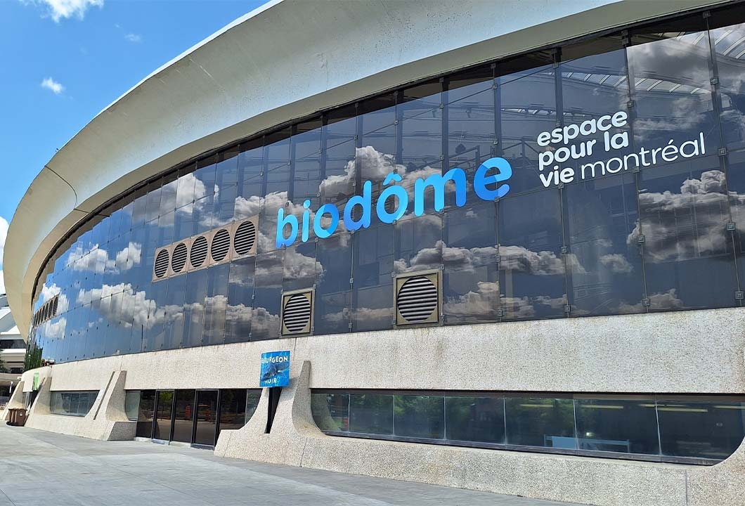 https://res.cloudinary.com/see-sight-tours/image/upload/v1748344319/strapi/montreal_biodome_fd3e417a5b.jpg
