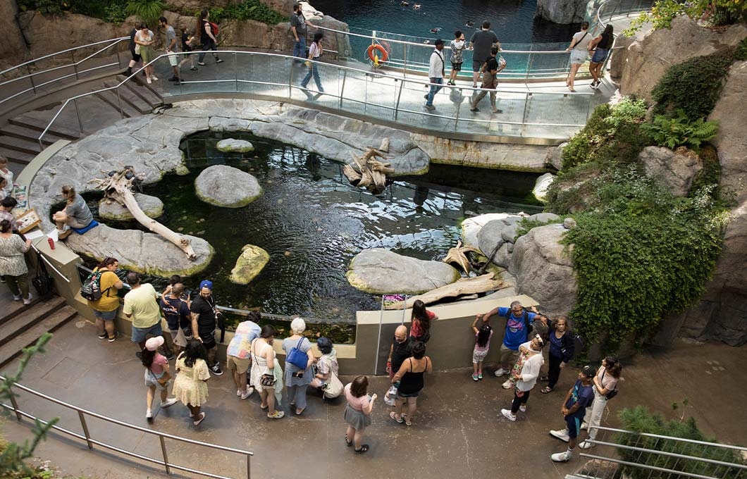 https://res.cloudinary.com/see-sight-tours/image/upload/v1748344319/strapi/montreal_zoo_biodome_53df8d9211.jpg