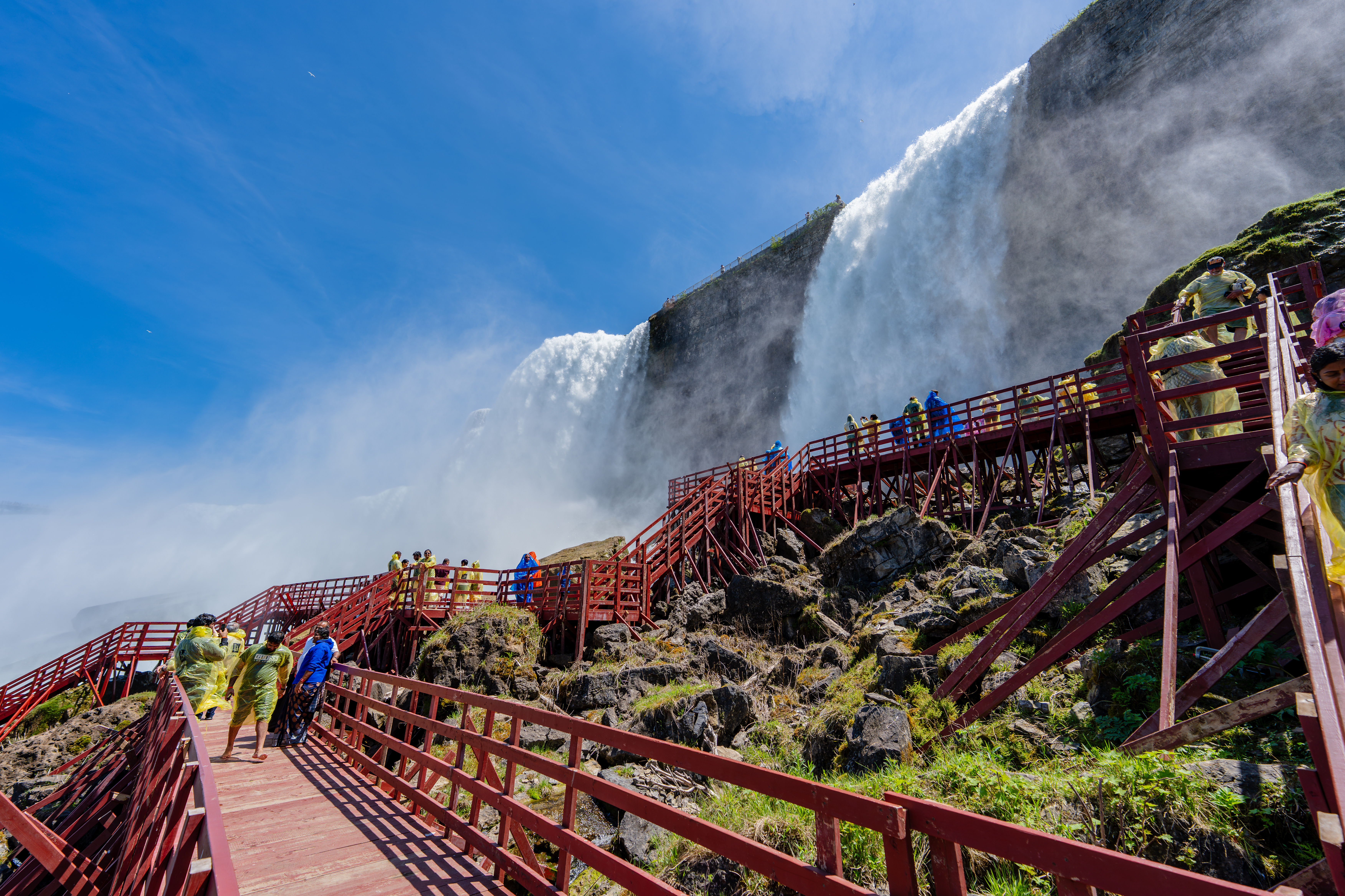 https://res.cloudinary.com/see-sight-tours/image/upload/v1787078087/strapi/NF_USA_0055_f23aaf10f1.jpg