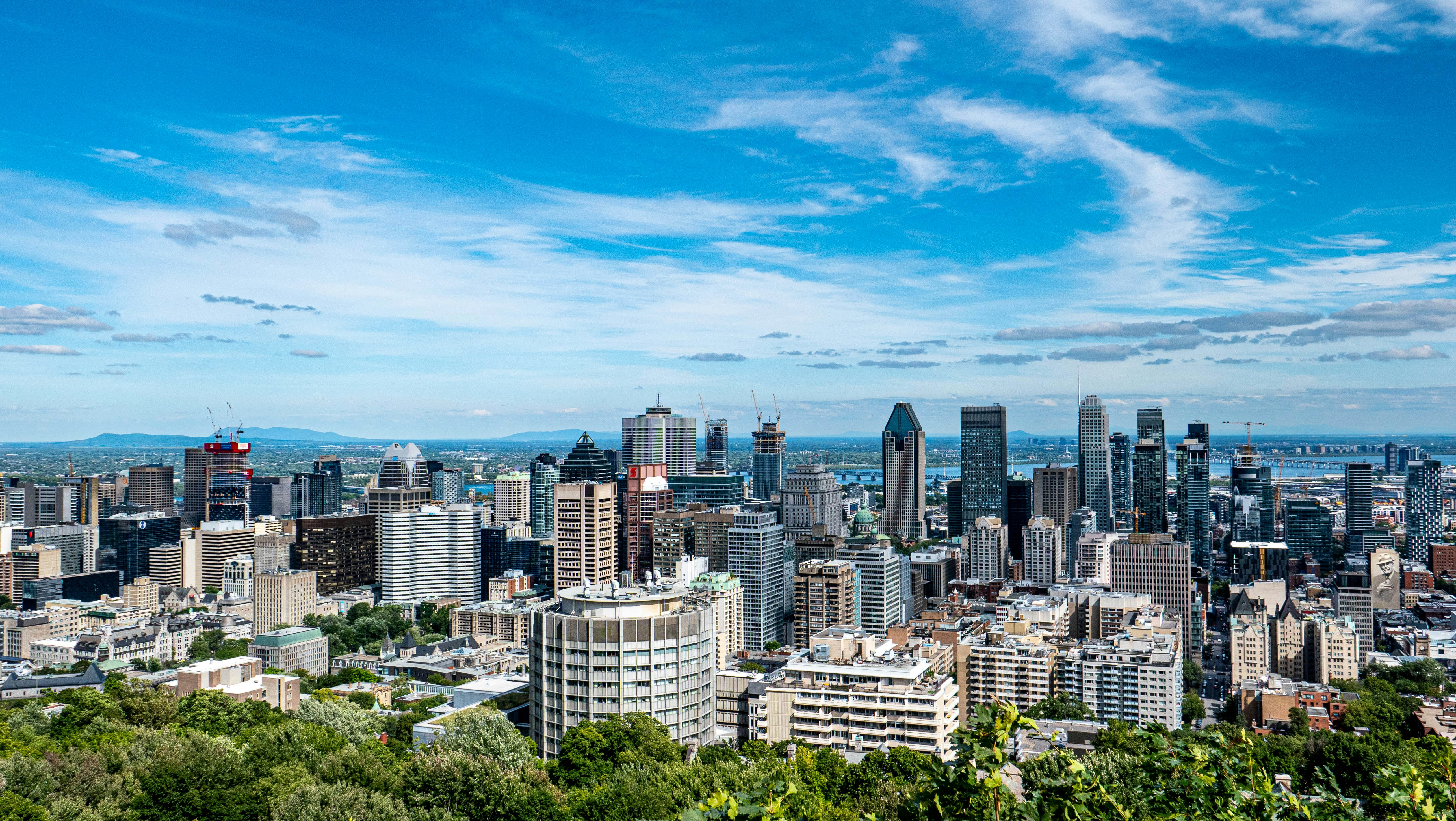 https://res.cloudinary.com/see-sight-tours/image/upload/v1787162528/strapi/Montreal_Mount_Royal_97e6bd1464.jpg