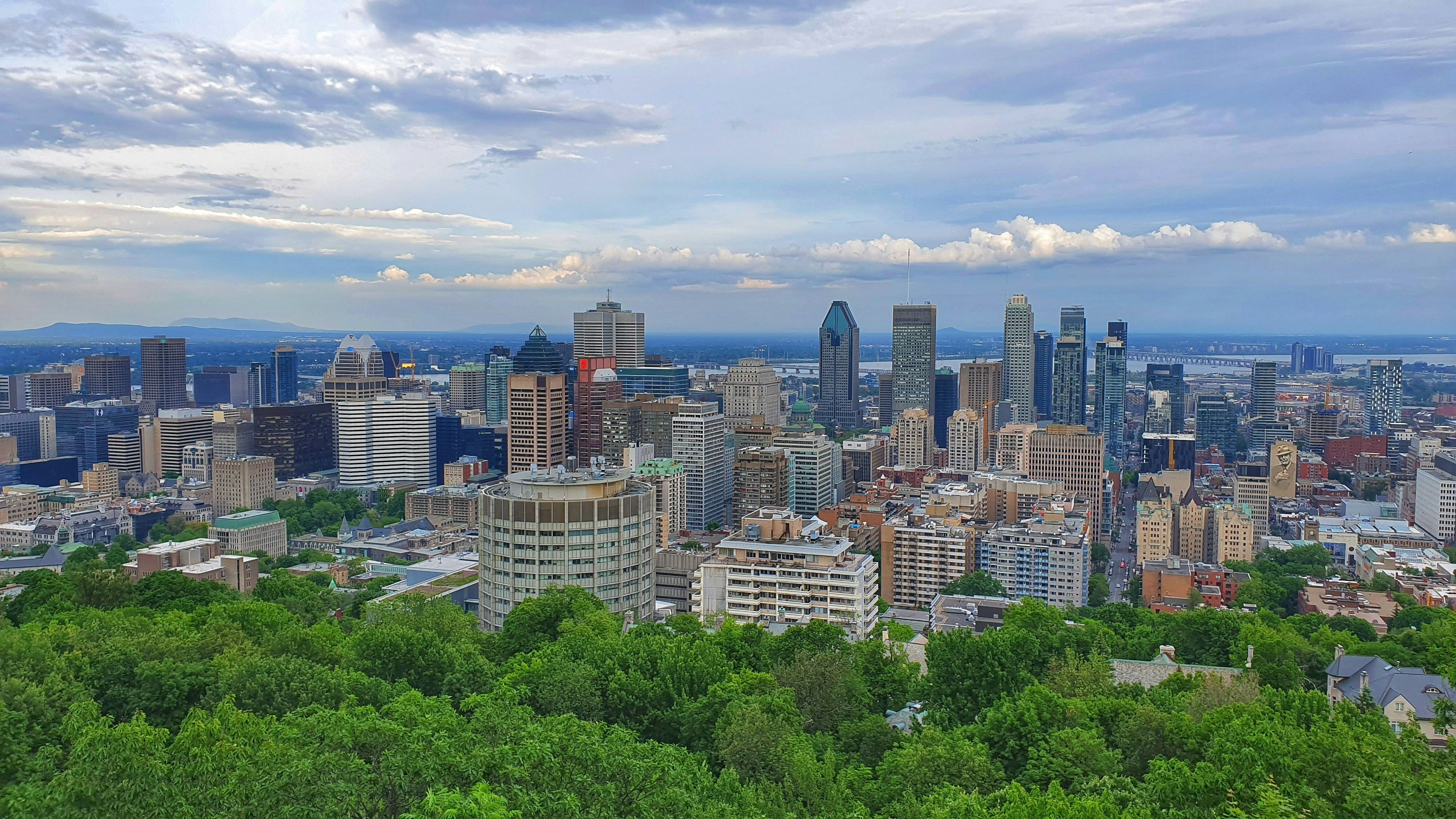 https://res.cloudinary.com/see-sight-tours/image/upload/v1787162528/strapi/Montreal_Mount_Royal_d6d5417ffe.jpg