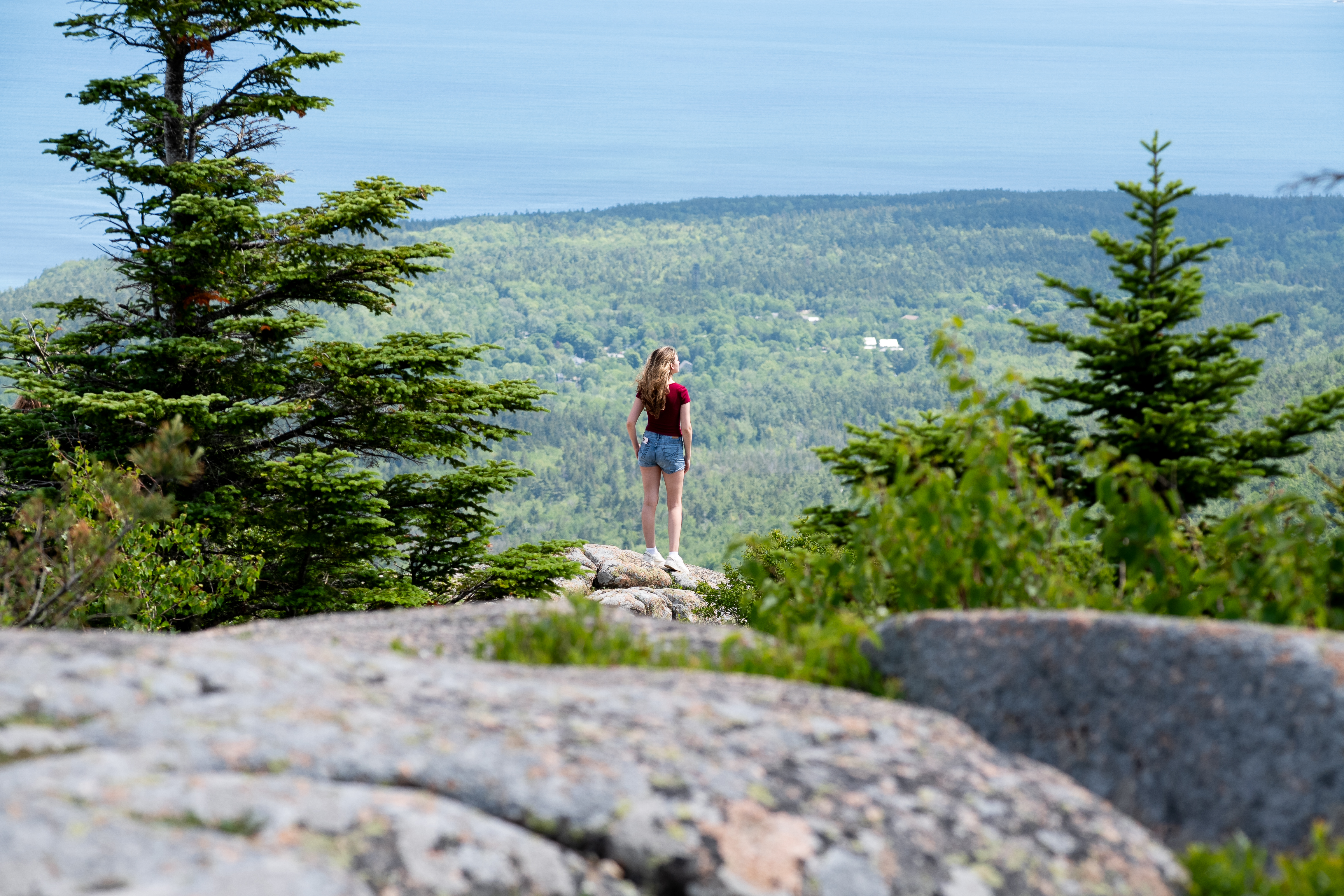 https://res.cloudinary.com/see-sight-tours/image/upload/v1787593261/strapi/BH_Cadillac_Mountain_3c71b81e4f.jpg