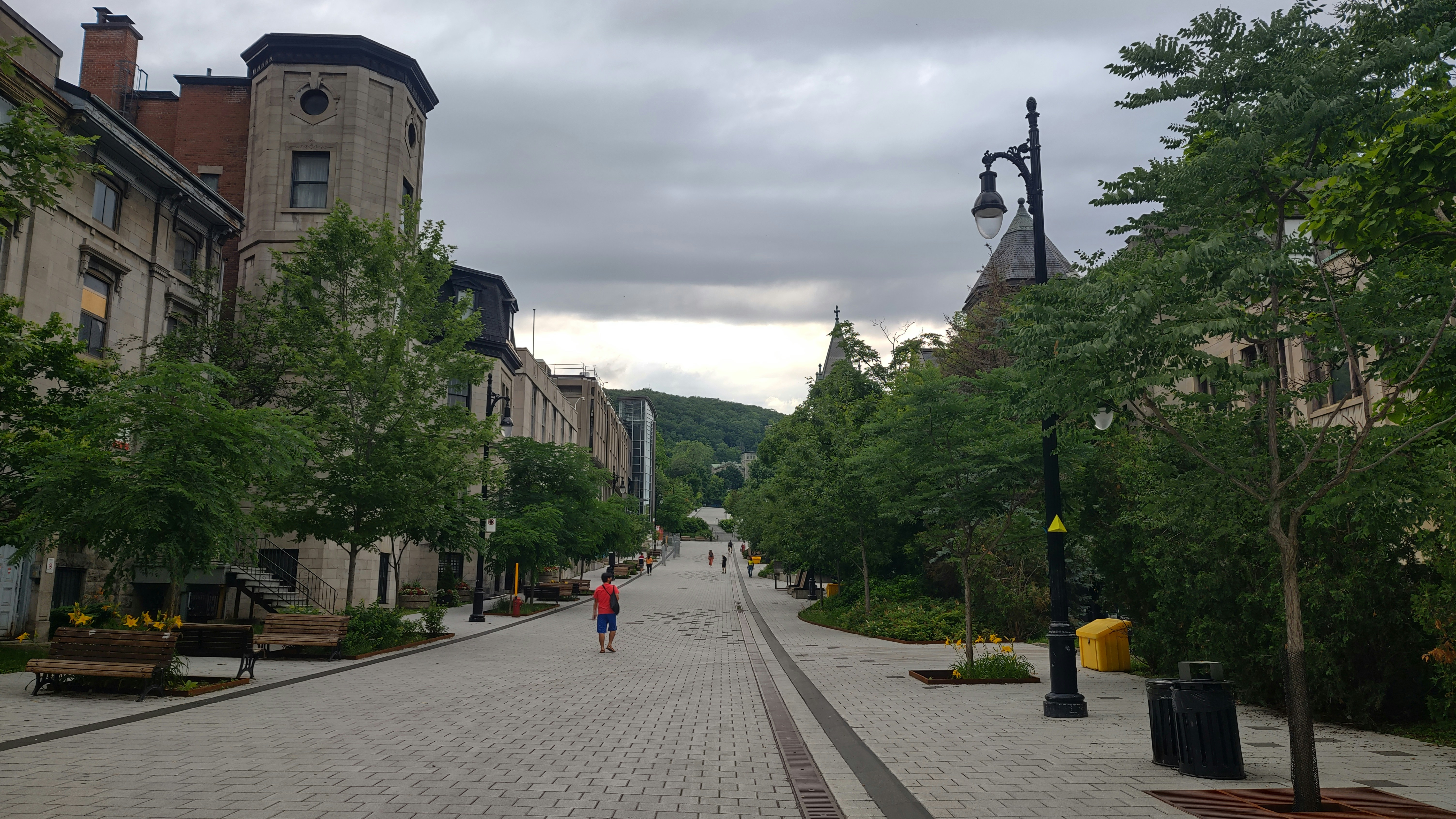 https://res.cloudinary.com/see-sight-tours/image/upload/v1787665348/strapi/Montreal_Mc_Gill_ebb0e1f19c.jpg