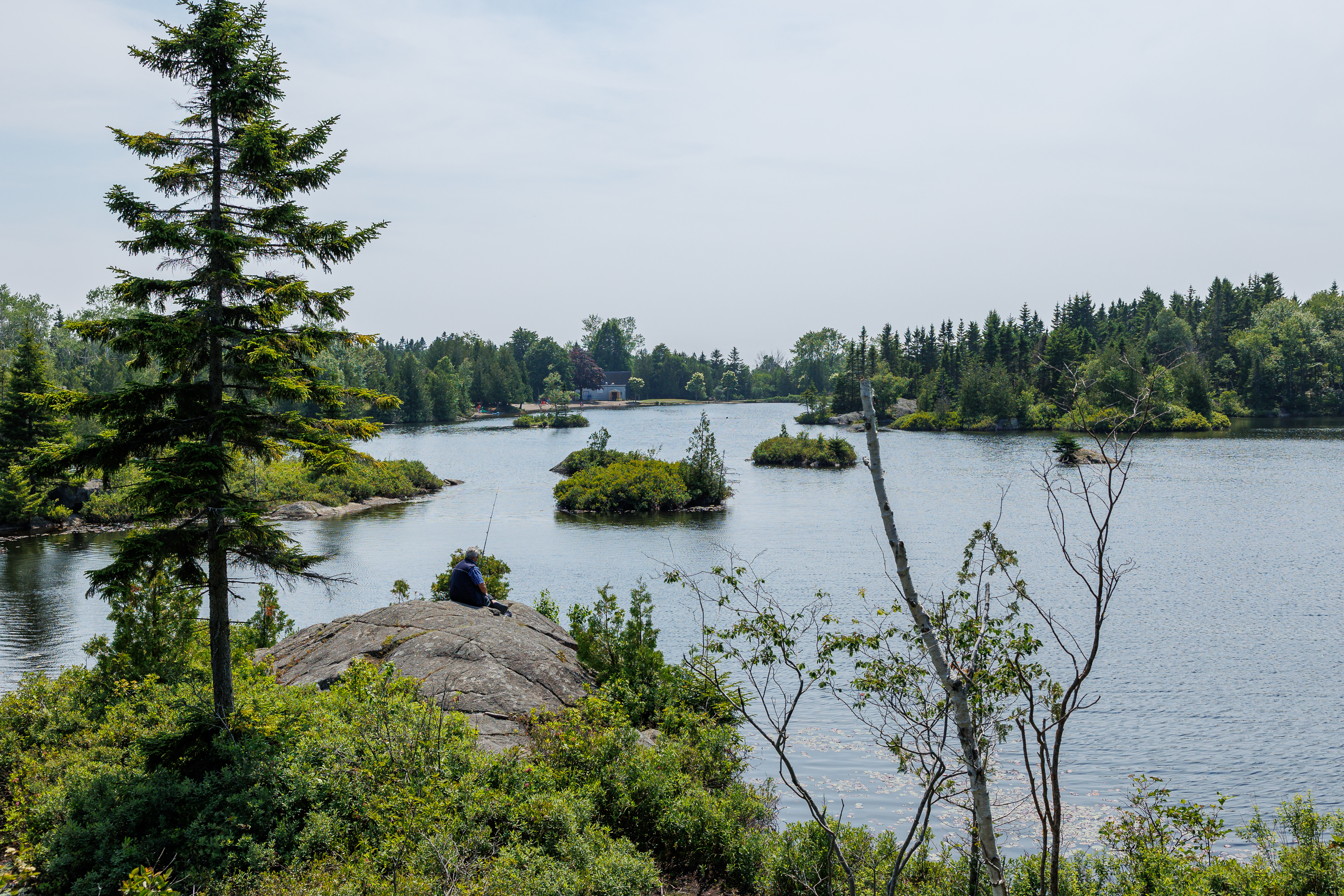 https://res.cloudinary.com/see-sight-tours/image/upload/v1787758372/strapi/Saint_John_Rockwood_Park_edaf06e510.jpg