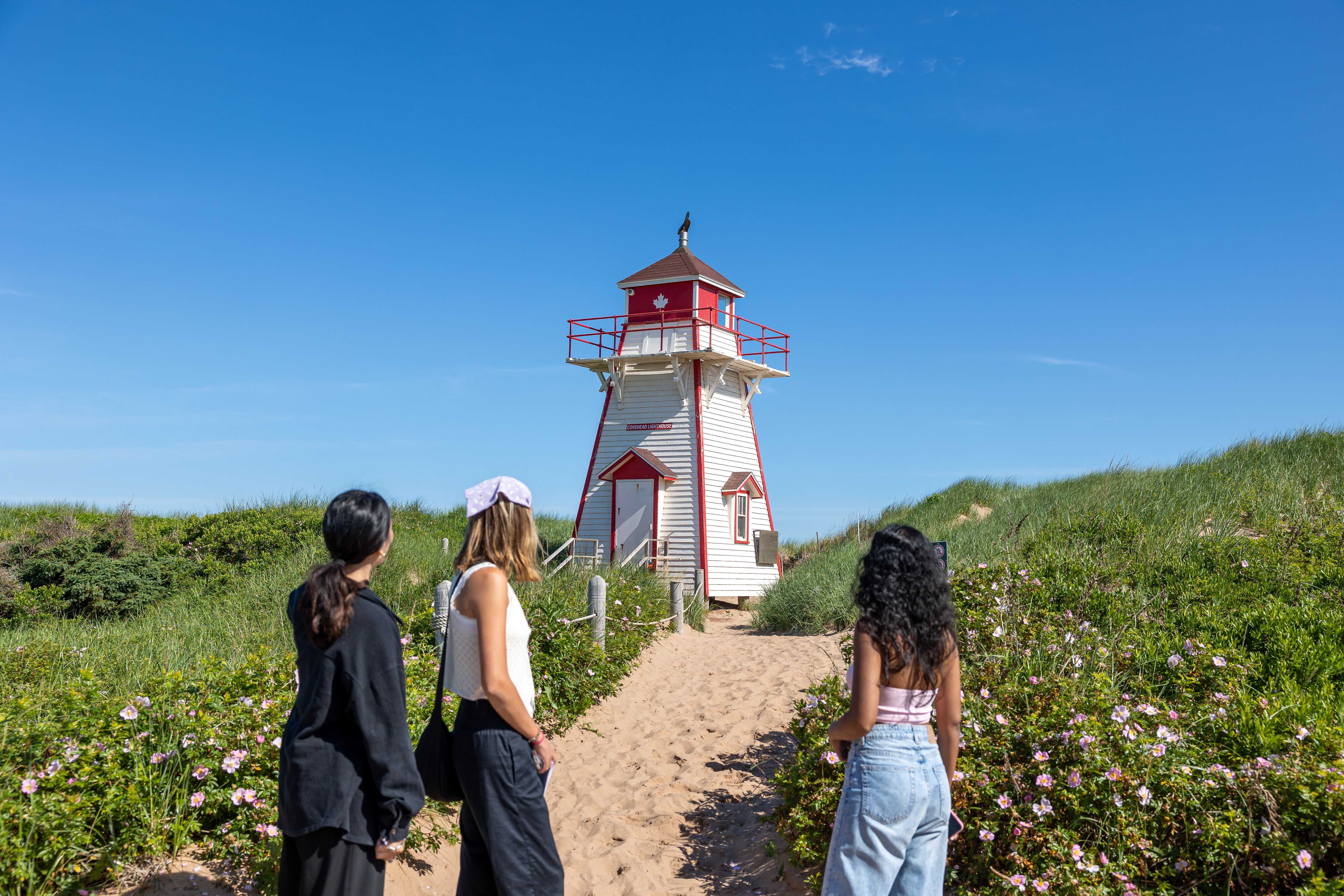 https://res.cloudinary.com/see-sight-tours/image/upload/v1787920658/strapi/PEI_Covehead_Lighthouse_a8d192b2c3.jpg